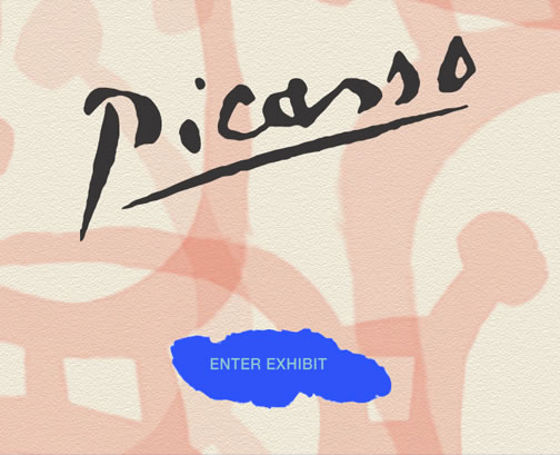 picasso flash